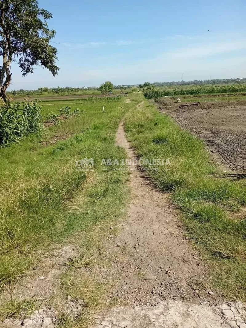Dijual Tanah Siap Bangun di Menganti Gresik - Thumbnail 2
