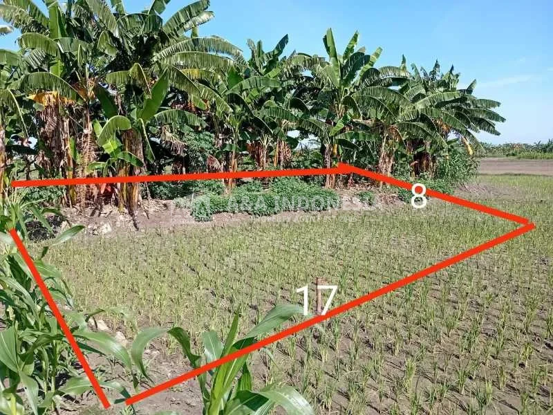 Dijual Tanah Siap Bangun di Menganti Gresik - Thumbnail 4