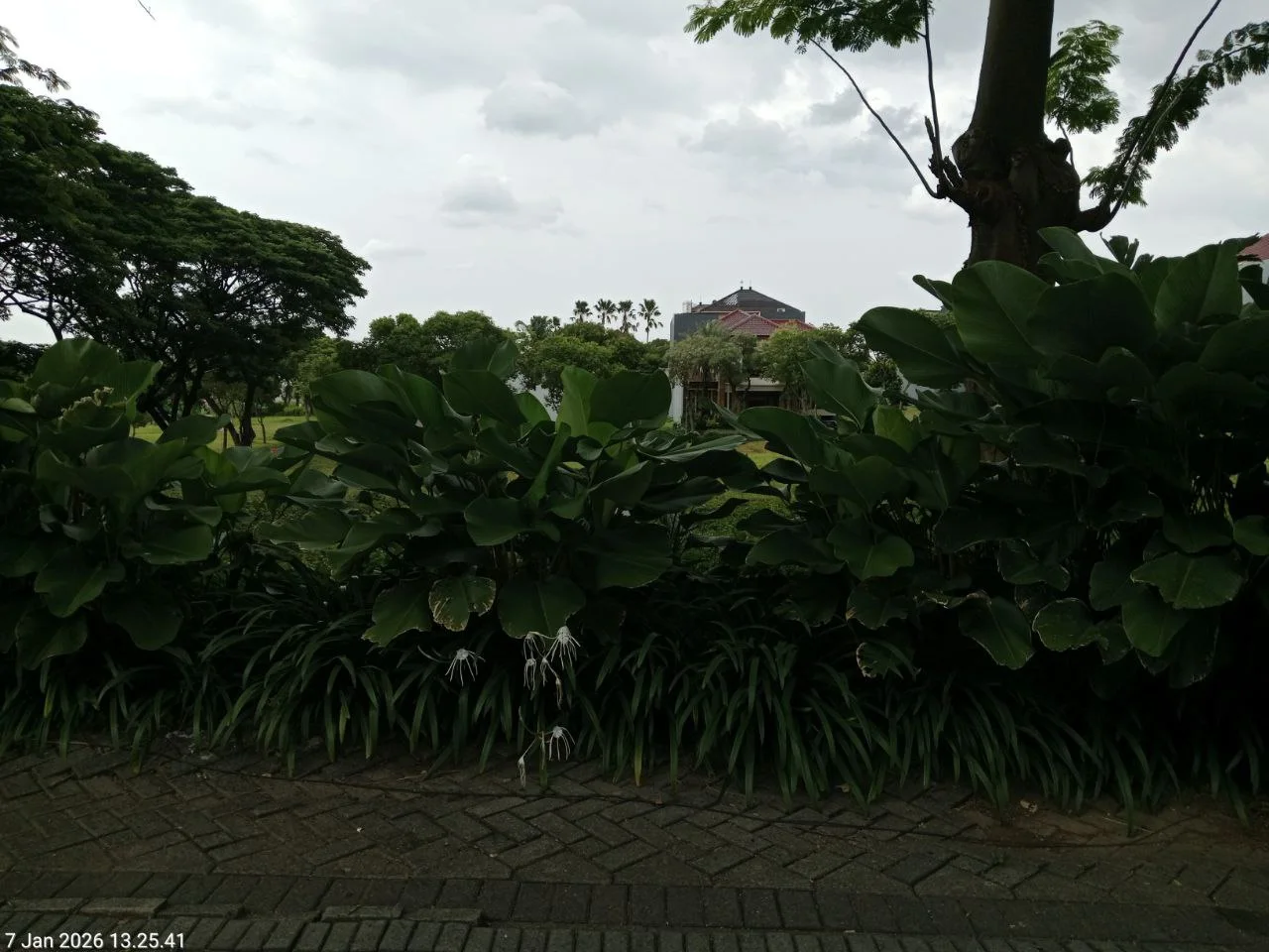 Jual Kavling Main Road Raya Bukit Golf Lokasi Premium Citraland Surabaya Barat