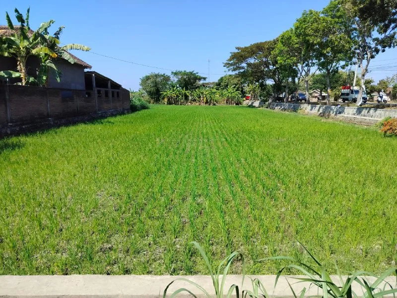 Dijual Tanah Nol Jalan Raya Strategis di Dukuh Sukoharjo