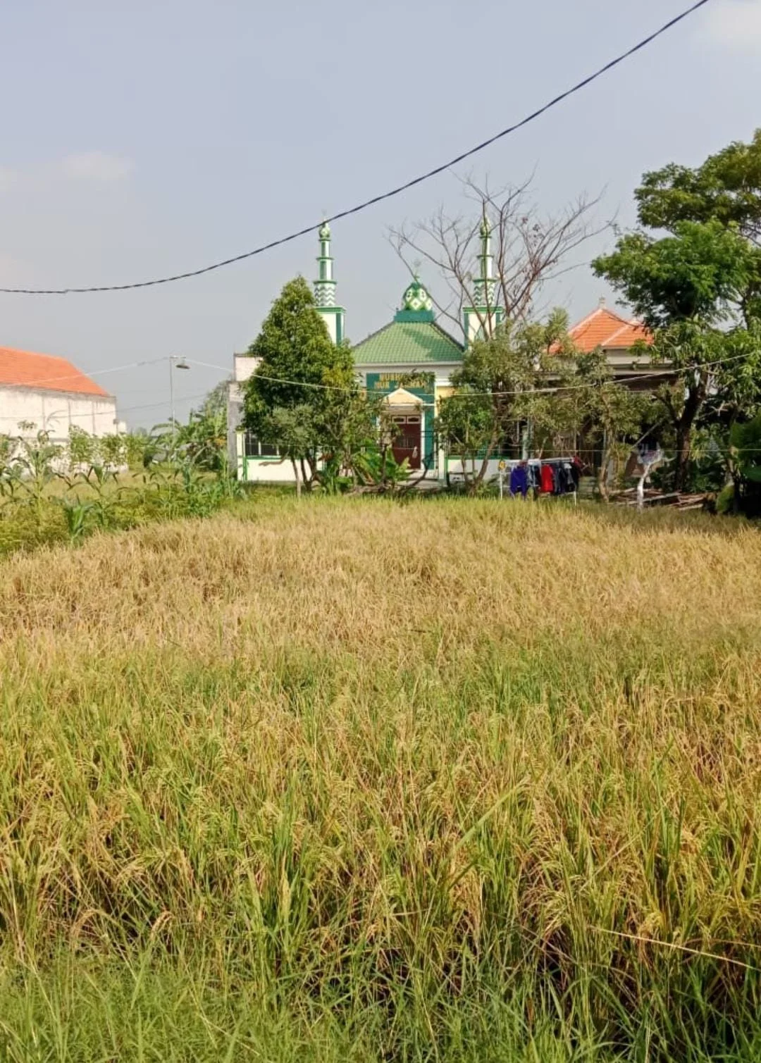 Jual Tanah Kavling Murah Menganti Krajan Gresik - Image 1