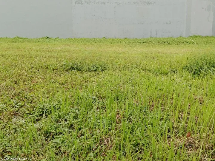 Dijual Kavling Premium Somerset Citraland Surabaya Barat - Image 1