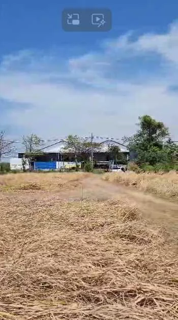 Dijual Tanah Luas Strategis di Raya Leker Rejo Gresik - Thumbnail 3