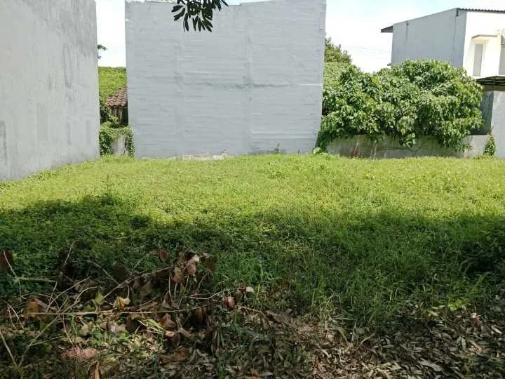 Dijual tanah kavling siap bangun yang berlokasi di kawasan Bukit Palma Citraland Surabaya Barat