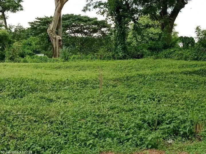 Dijual Tanah Eksklusif Tanah Golf View Bukit Golf Citraland Surabaya Barat
