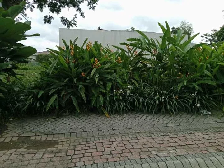 Dijual Tanah Kavling Raya Bukit Golf Citraland Surabaya Barat