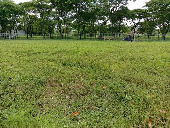 Dijual Tanah Premium di Wilayah Waterfront Citraland Surabaya Barat - Image 1