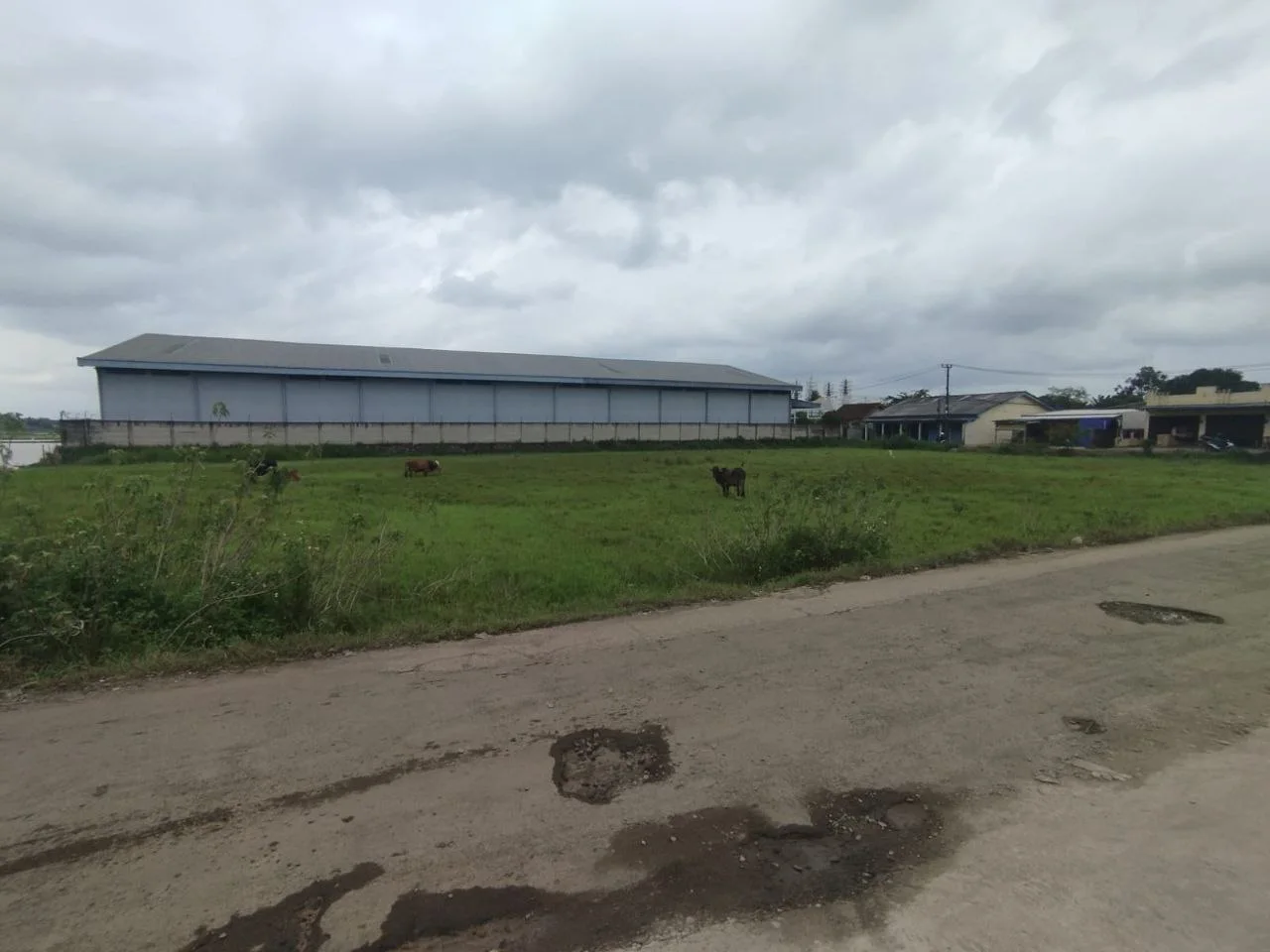 Dijual Tanah Luas Strategis di Kendal Sindang Panon Tangerang