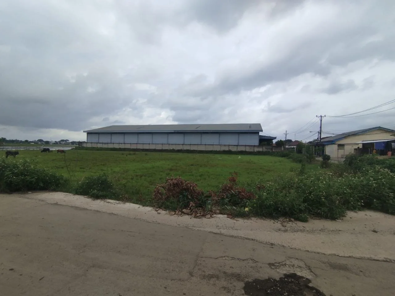 Dijual Tanah Luas Strategis di Kendal Sindang Panon Tangerang - Thumbnail 5