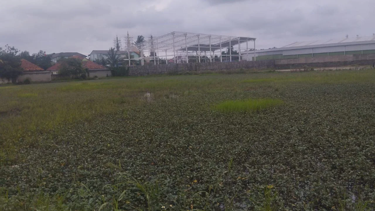 Dijual Lahan Luas Strategis di Kendal Sindang Panon Tangerang