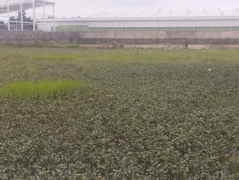 Dijual Lahan Luas Strategis di Kendal Sindang Panon Tangerang - Thumbnail 4