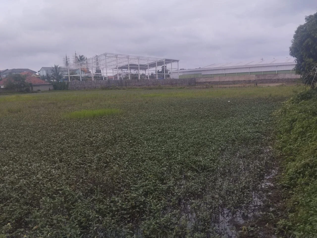 Dijual Lahan Luas Strategis di Kendal Sindang Panon Tangerang - Thumbnail 6