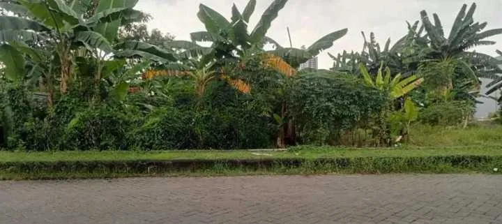 Dijual Tanah di Jalan Utama pintu masuk perumahan The Gayungsari Surabaya Selatan - Image 1