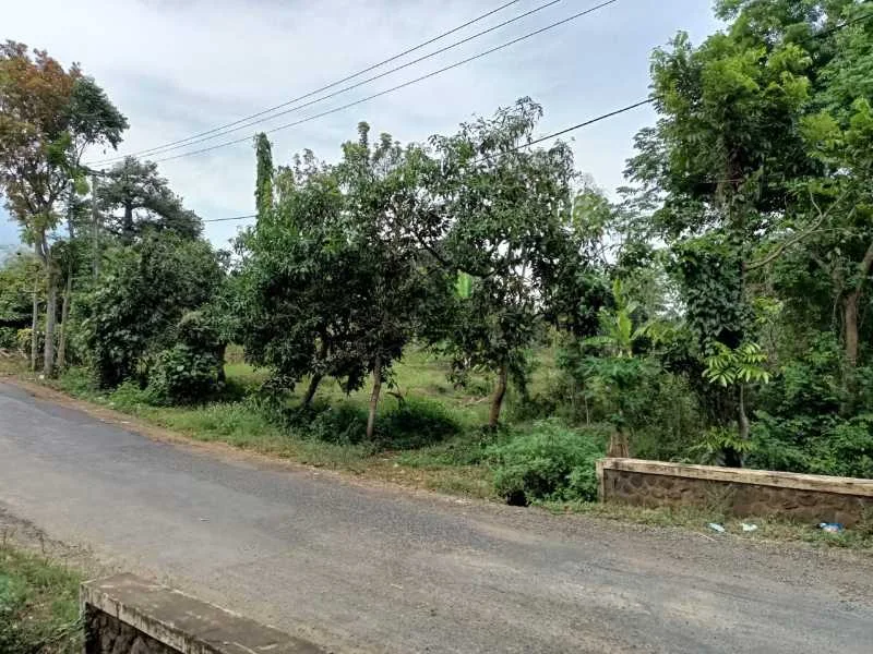 Dijual Tanah Luas Strategis di Sukoreno Pasuruan