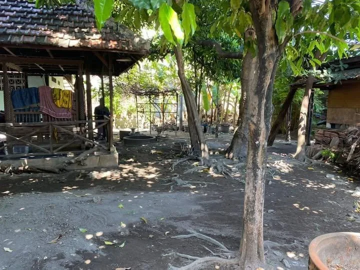 Dijual Rumah Hitung Tanah di Dinoyo Tangsi Surabaya Pusat - Thumbnail 2