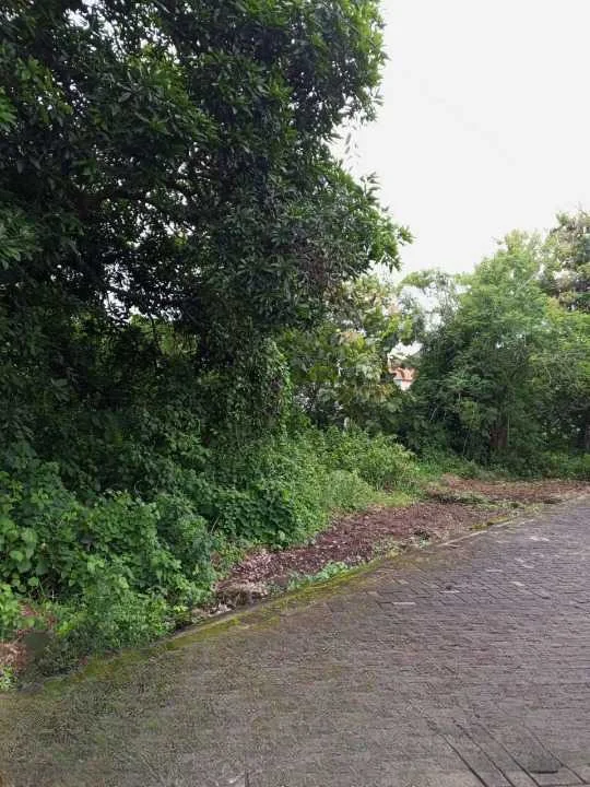 Dijual Tanah Strategis di Kampung Yaman Bungah Gresik - Thumbnail 2