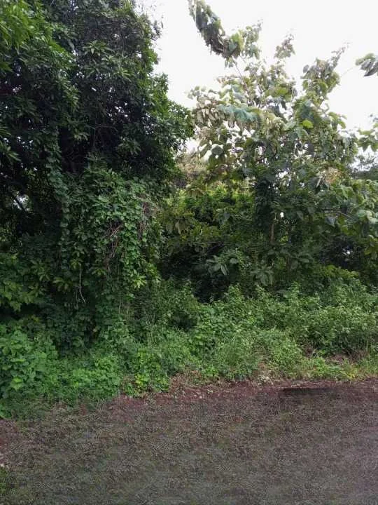 Dijual Tanah Strategis di Kampung Yaman Bungah Gresik
