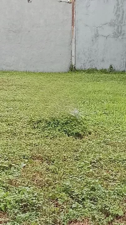 Dijual Tanah Kavling Strategis di Citraland Royal Park Surabaya Barat