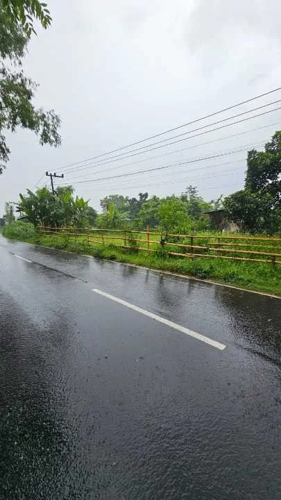 Dijual Tanah Luas Strategis di Raya Taman Safari Pasuruan - Thumbnail 2