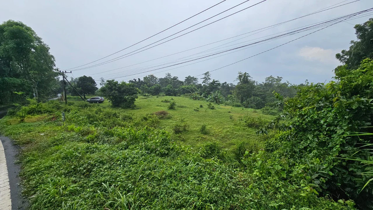 Dijual Tanah Luas Strategis di Raya Taman Safari Pasuruan - Thumbnail 4
