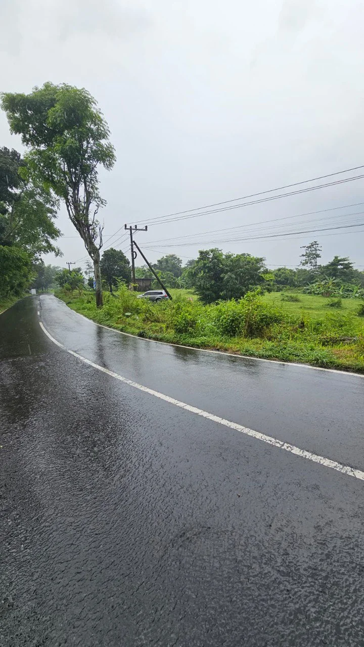 Dijual Tanah Luas Strategis di Raya Taman Safari Pasuruan - Thumbnail 7