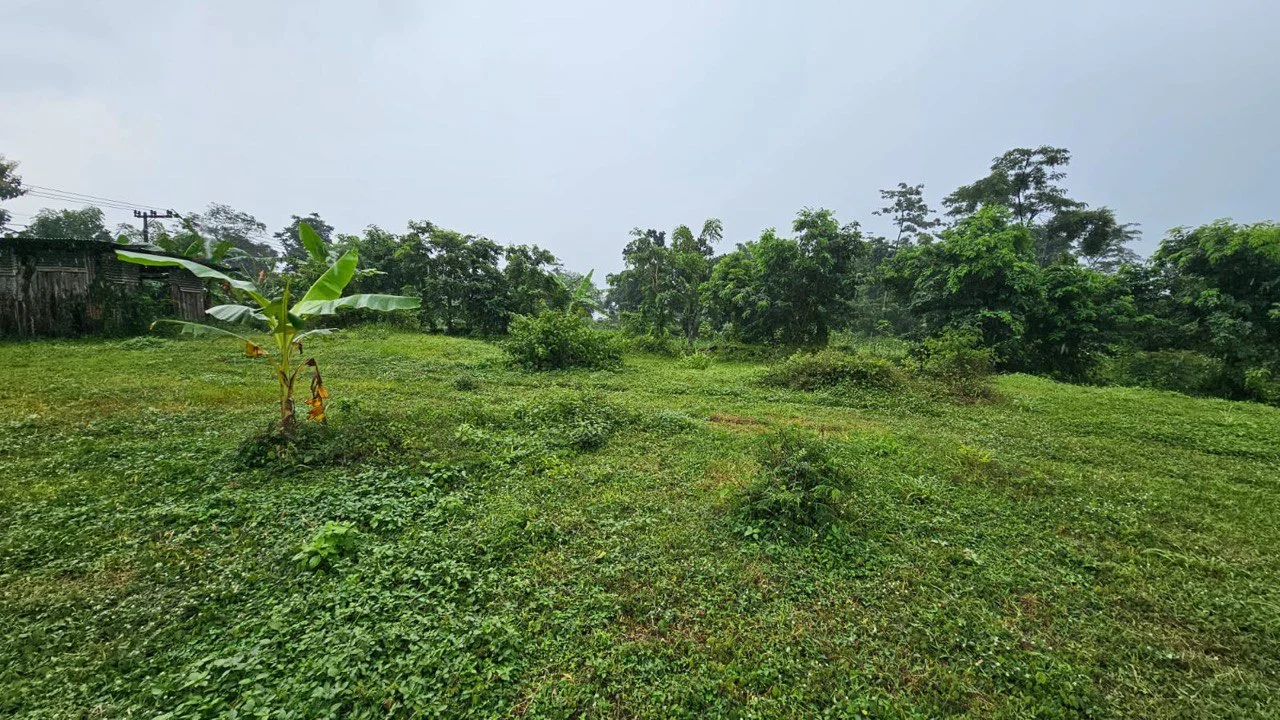 Dijual Tanah Luas Strategis di Raya Taman Safari Pasuruan - Thumbnail 8