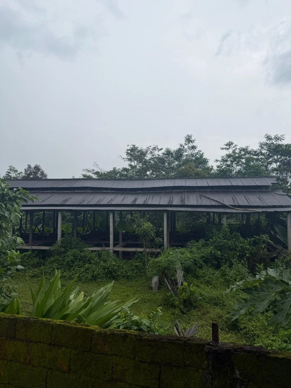 Dijual Tanah dan Kandang Permanen Luas di Kawasan Jalan Sukowiryo Jember