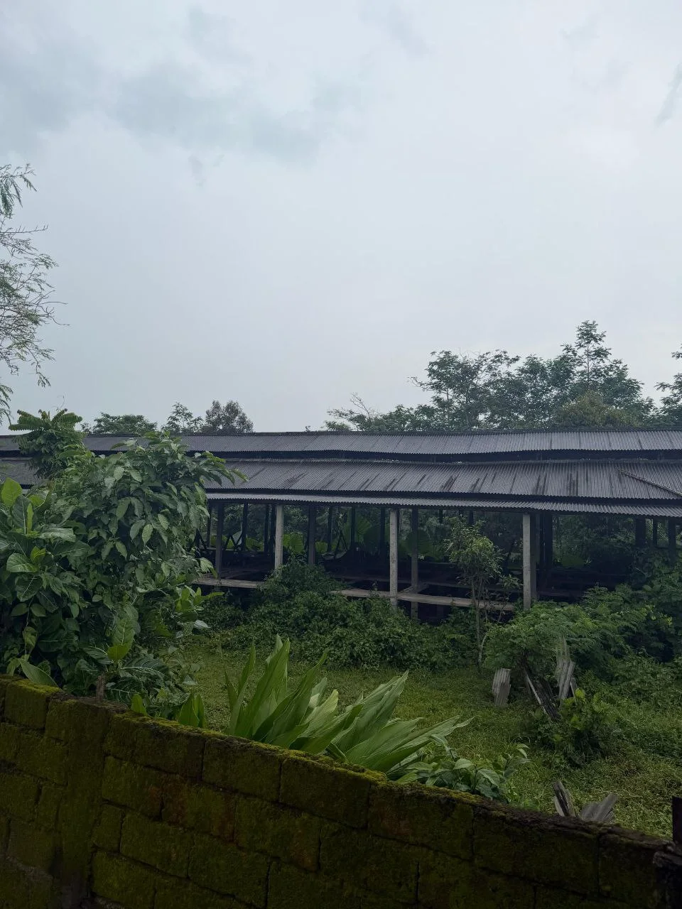 Dijual Tanah dan Kandang Permanen Luas di Kawasan Jalan Sukowiryo Jember - Thumbnail 2
