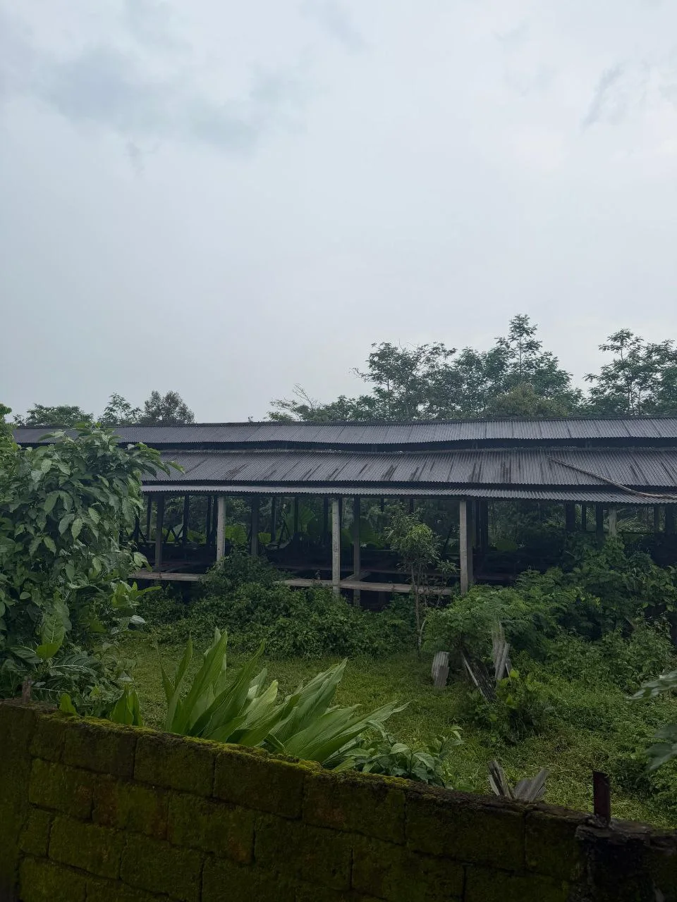 Dijual Tanah dan Kandang Permanen Luas di Kawasan Jalan Sukowiryo Jember - Thumbnail 3