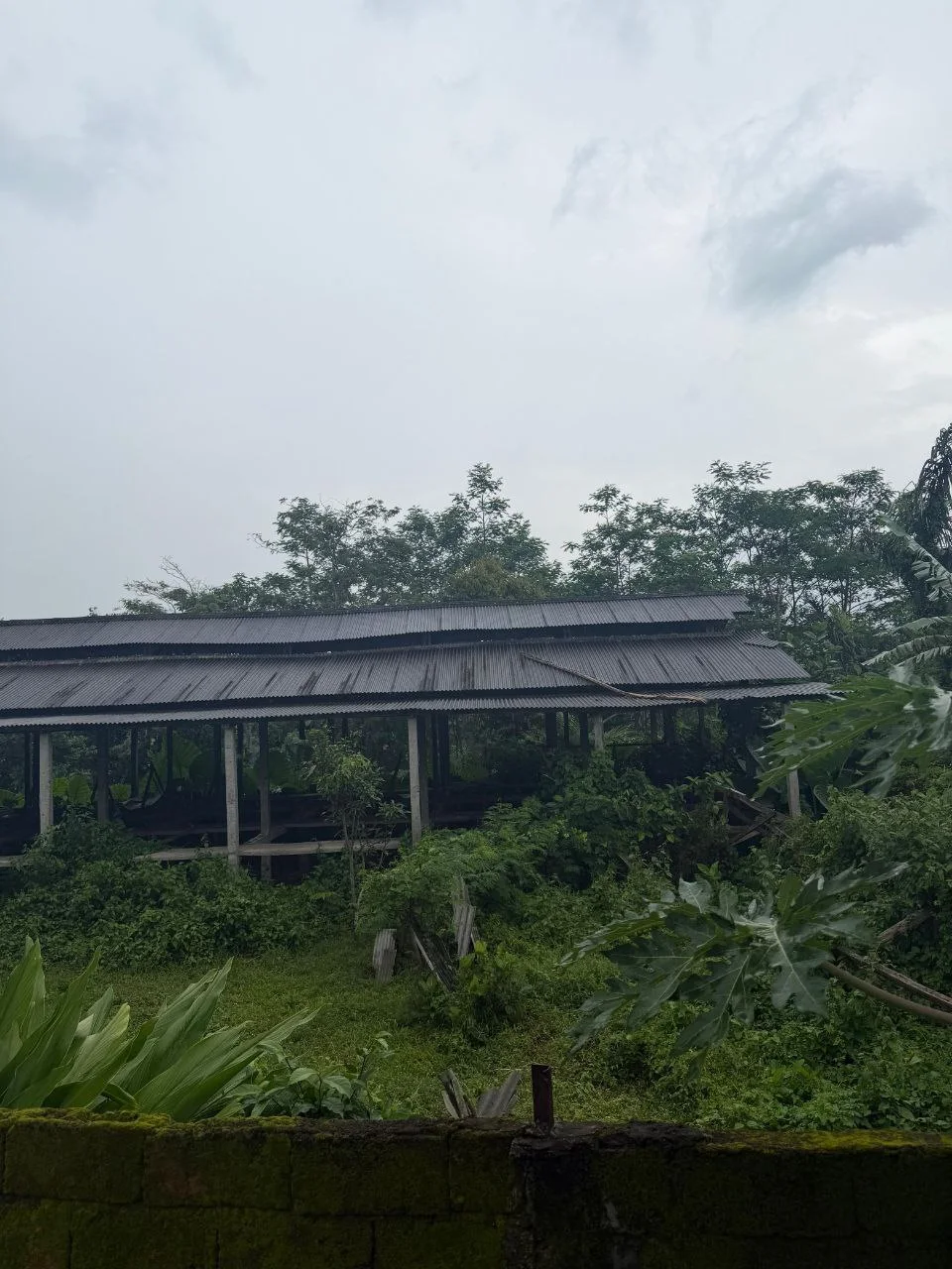 Dijual Tanah dan Kandang Permanen Luas di Kawasan Jalan Sukowiryo Jember - Thumbnail 4