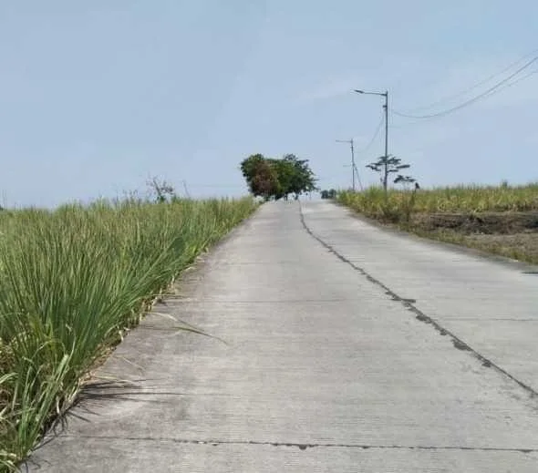 Dijual Tanah Strategis Harga Terjangkau di Pulorejo Mojokerto