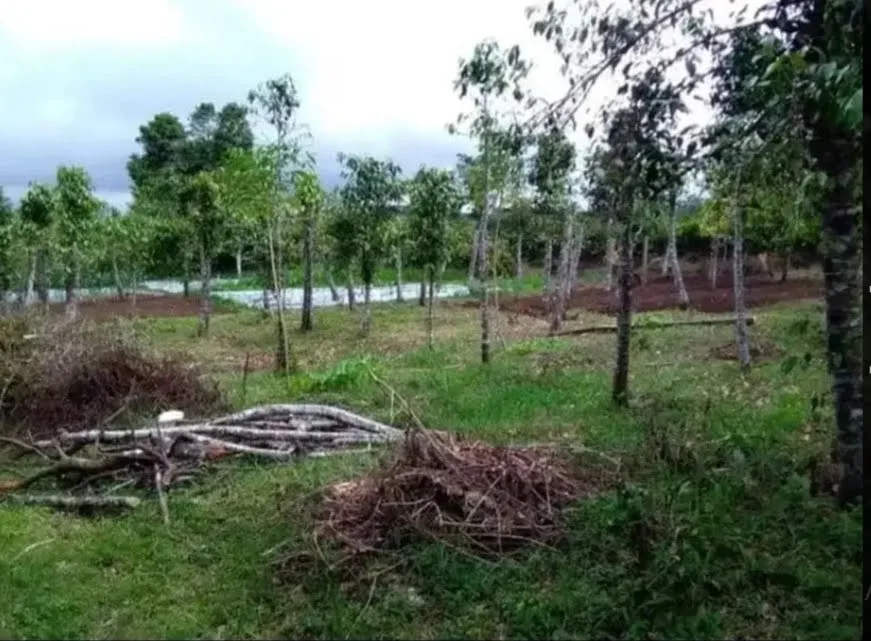 Dijual Murah Tanah Strategis di Kawasan Agrowisata Batu – Malang