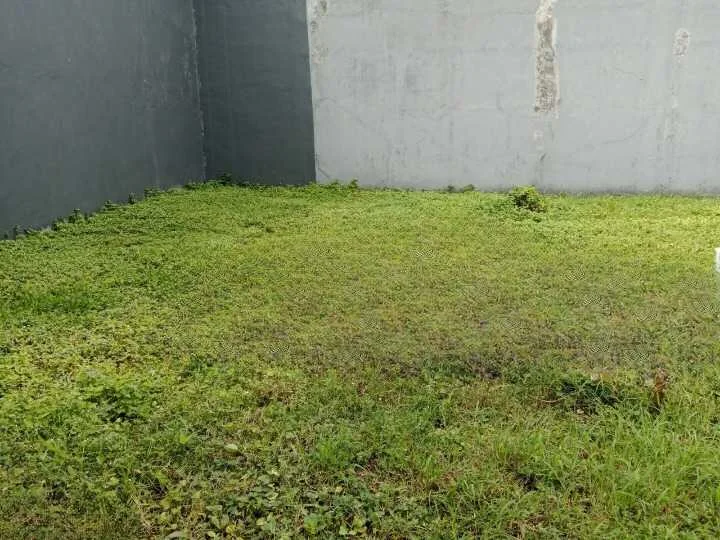 Dijual Tanah Lokasi Premium dan Mewah di Bukit Palma Citraland Surabaya Barat