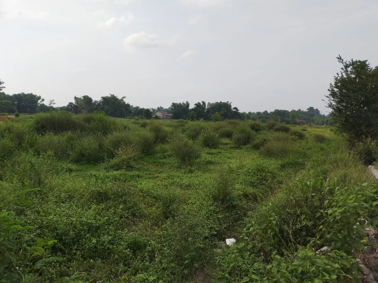 Dijual Tanah Luas Strategis di Dukuhsari Sukorejo Pasuruan