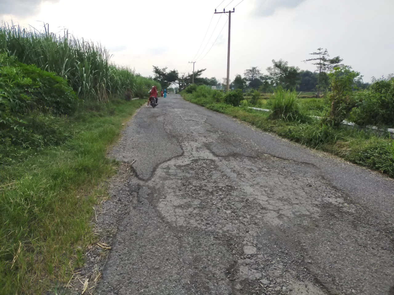 Dijual Tanah Luas Strategis di Dukuhsari Sukorejo Pasuruan - Thumbnail 3