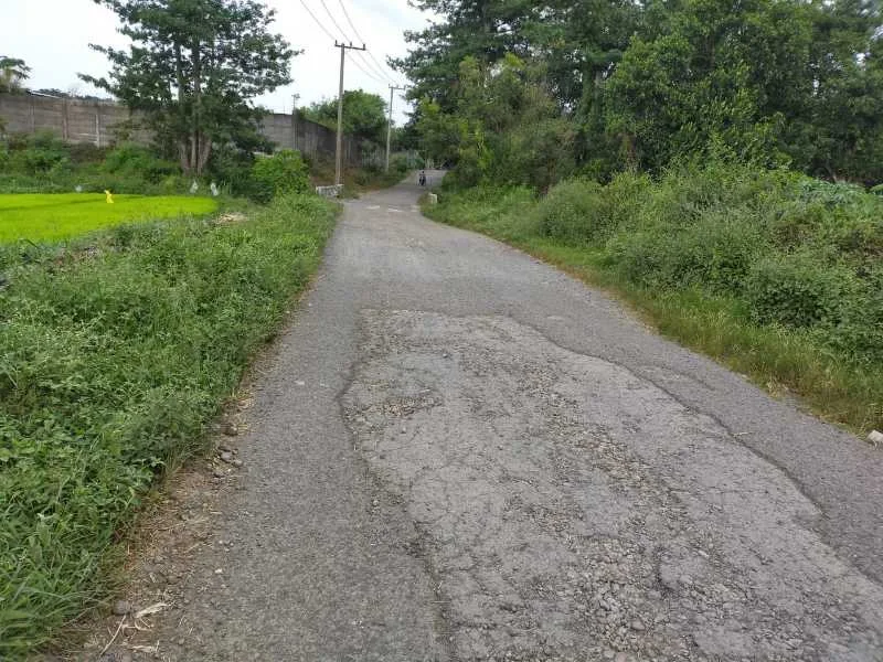Dijual Tanah Luas Strategis di Dukuhsari Sukorejo Pasuruan - Thumbnail 6