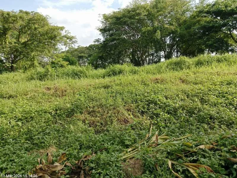 Dijual Tanah Langka View Golf dan Strategis di Bukit Golf Internasional Citraland Surabaya Barat - Thumbnail 2