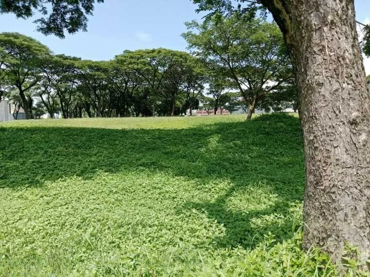 Dijual Tanah Kavling Komersial Strategis di Bukit Telaga Golf Citraland Surabaya Barat - Thumbnail 2
