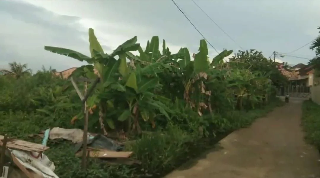 Dijual Tanah Strategis di Jalan Pembangunan Siring Agung Barat Palembang - Thumbnail 2