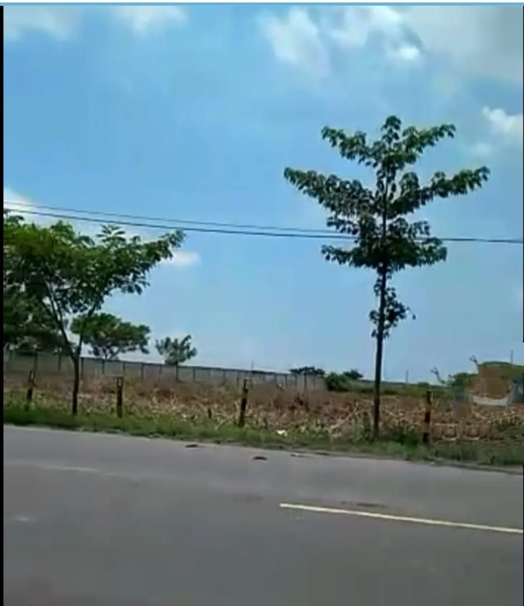 Dijual Tanah Industri Luas di Widang Tuban