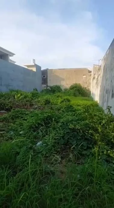 Dijual Tanah Strategis di Jalan Raya Gading Pantai Dukuh Sutorejo Surabaya Timur - Thumbnail 3