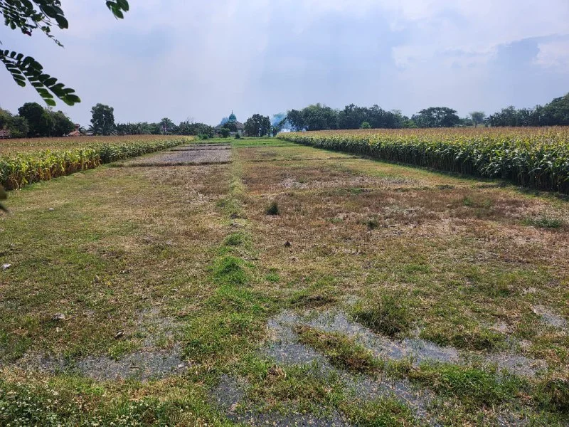 Dijual Tanah Luas Strategis di Bypass Banjar Agung Mojokerto