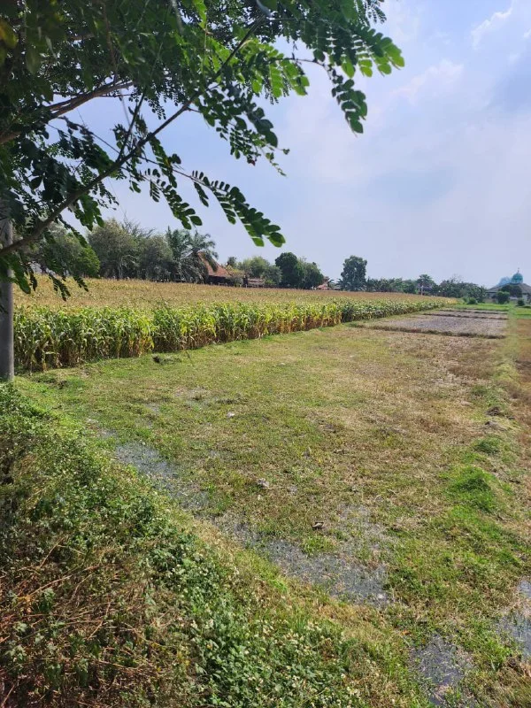 Dijual Tanah Luas Strategis di Bypass Banjar Agung Puri Mojokerto - Thumbnail 2