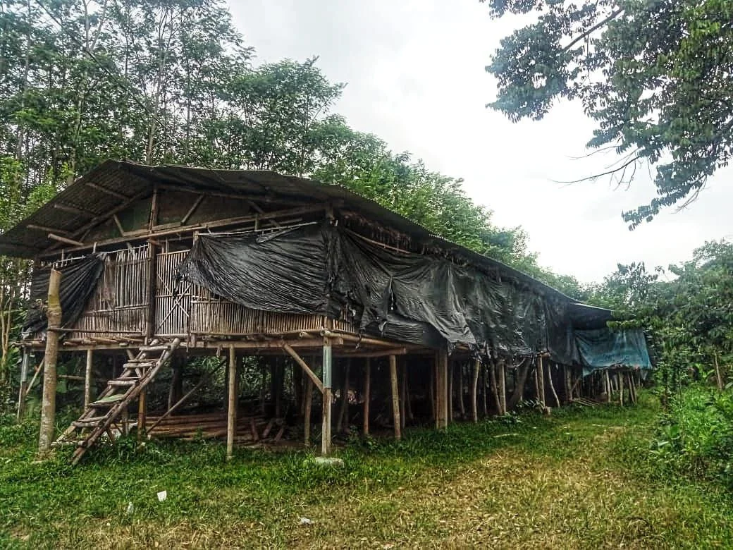 Dijual Rumah dan Kandang Ayam Luas Strategis di Dusun Ngemplak Krandang Kediri - Thumbnail 3