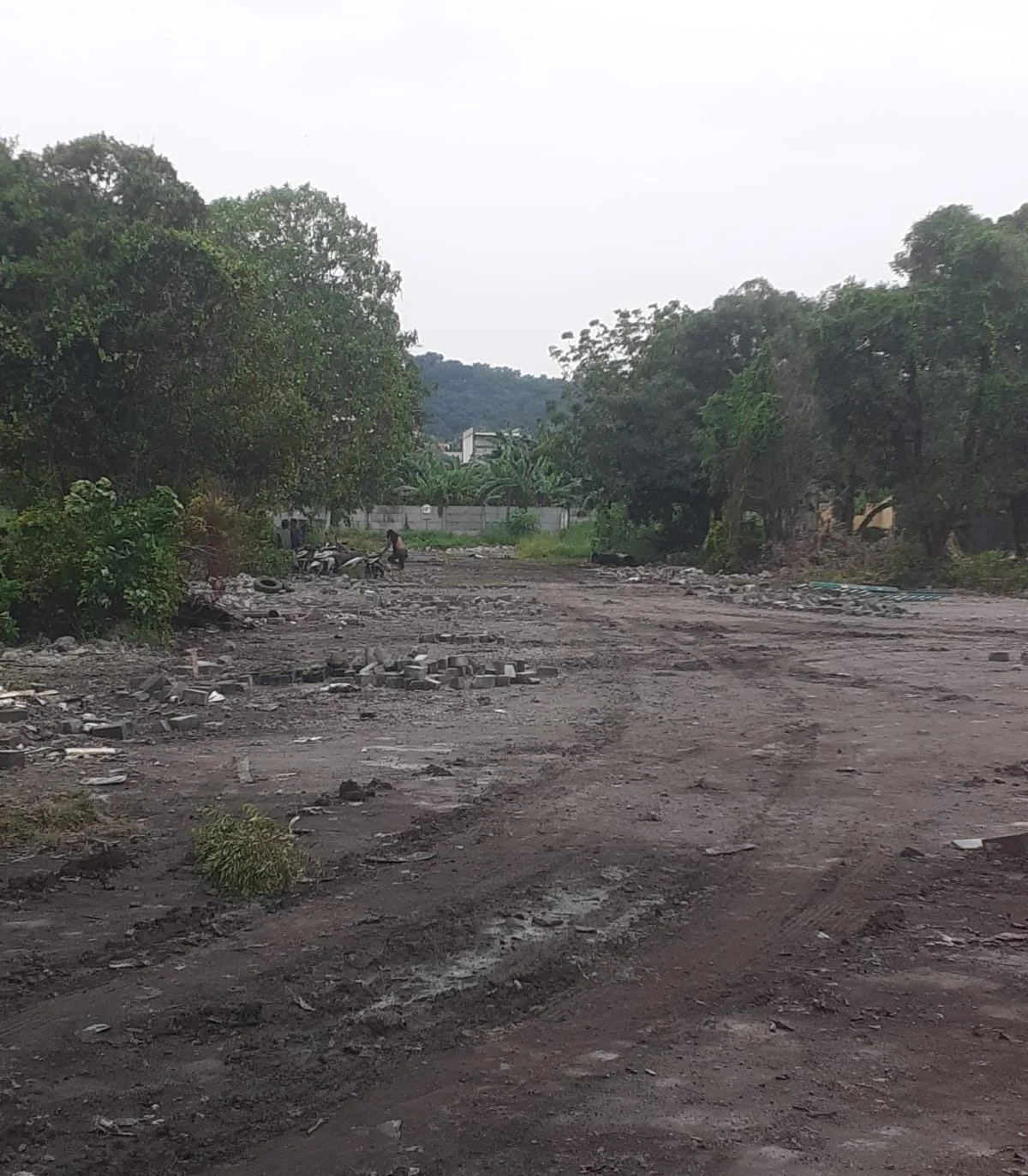 Dijual Tanah Kavling Siap Bangun Ex Pabrik 6,3 Hektar Lokasi Jl. Tridharma KIG Gresik - Thumbnail 2