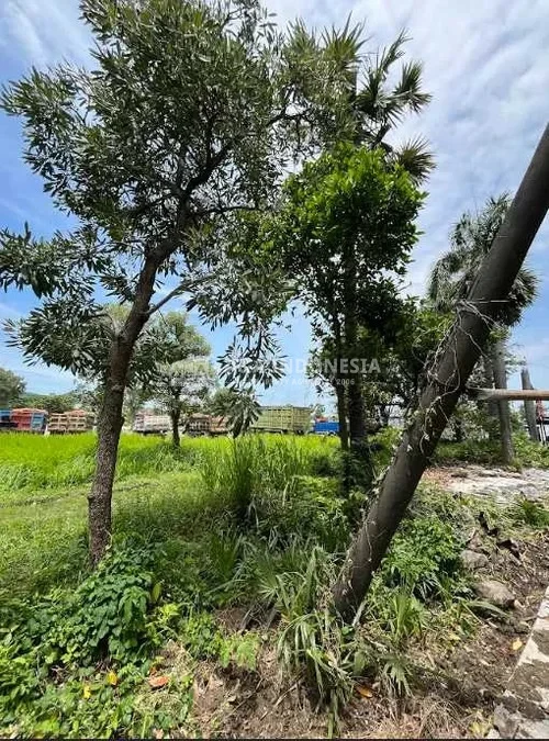Dijual Lahan Tanah Industri Luas Strategis di Jalan Raya Tridharma Gresik - Thumbnail 6