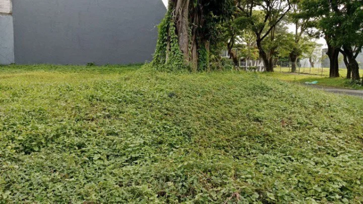 Dijual Tanah kavling Strategis di Golf Avenue Citraland Surabaya Barat