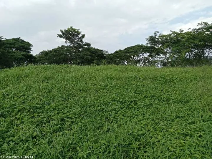 Dijual Tanah Kavling Golf View Strategis di Bukit Golf Citraland Surabaya Barat