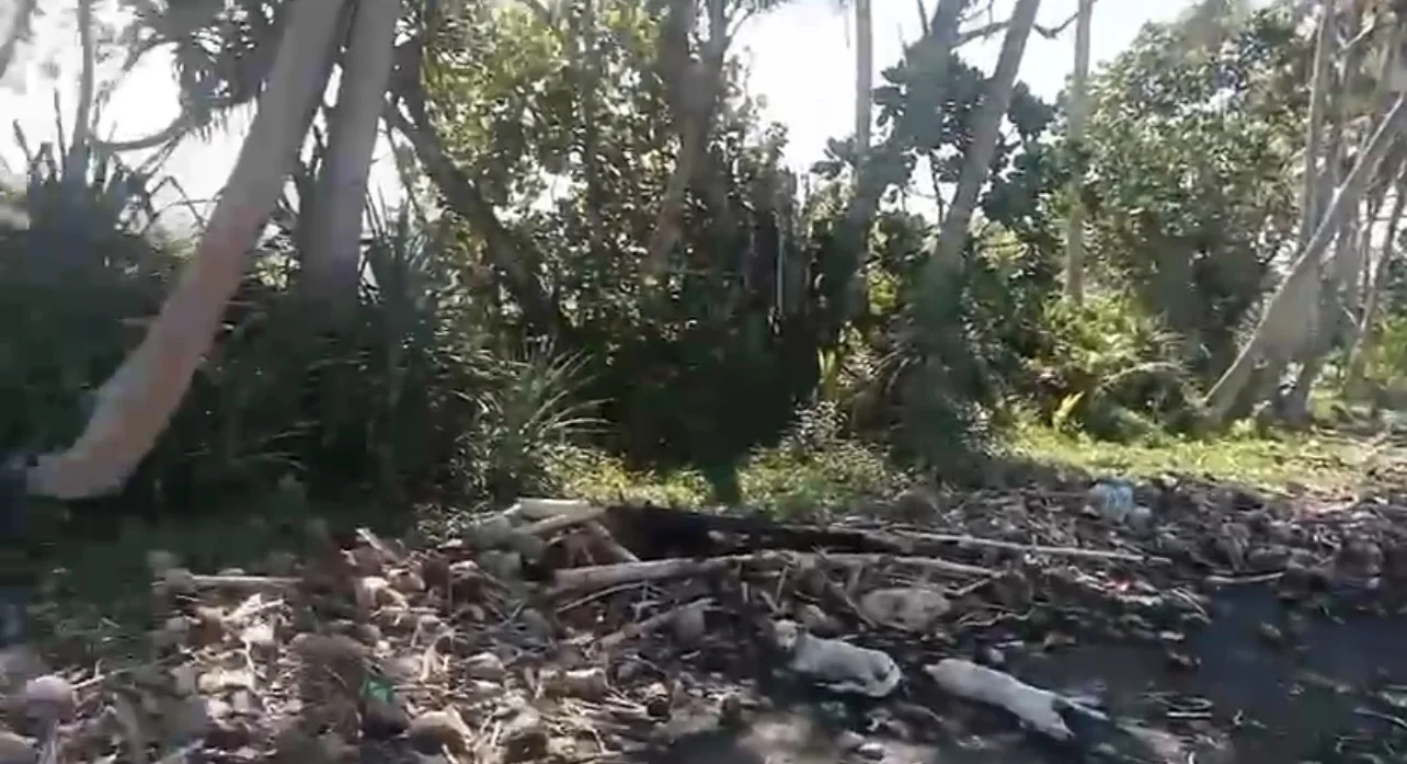 Dijual/Disewakan Strategis Lahan Nol Jalan Provinsi di Jalan Raya Denpasar Bali - Thumbnail 4