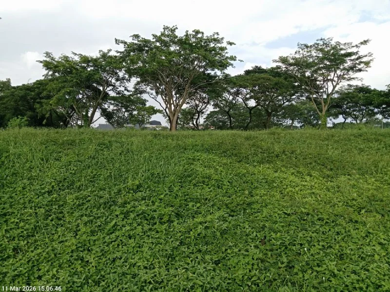 Dijual Tanah Golf View Luas Strategis di Bukit Golf Citraland Surabaya Barat